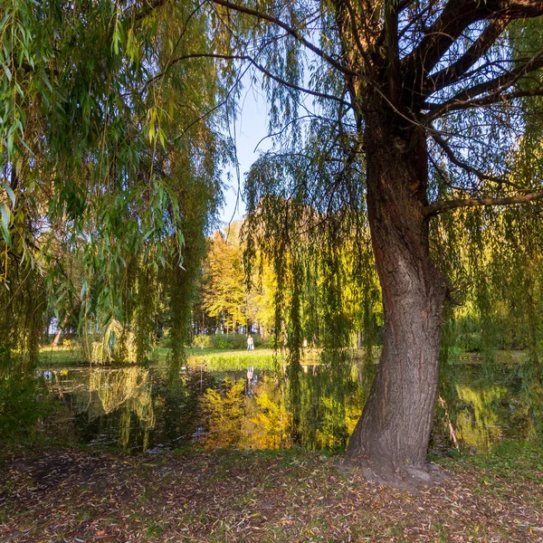 Podzimní Krajina Promenádě Jezera Parku — Stock fotografie
