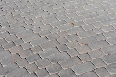 Parkta gri beton kaldırım dokusu