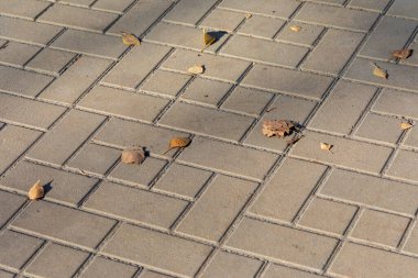 Arkaplan için renkli beton kaldırım dokusu