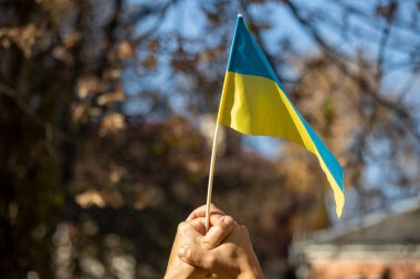 Ukrayna 'nın küçük sarı ve mavi bayrağı ellerinde