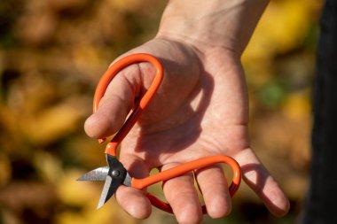 Bir adam sokakta elinde makasla dolaşır.