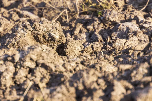 Textuur Van Aarde Een Veld Dat Net Geploegd — Stockfoto