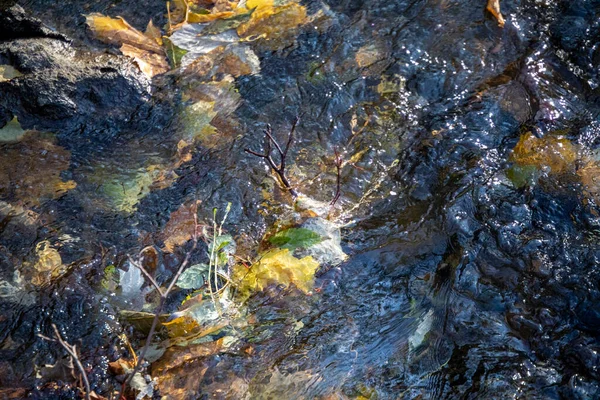 Gele Herfstbladeren Het Water Het Park — Stockfoto