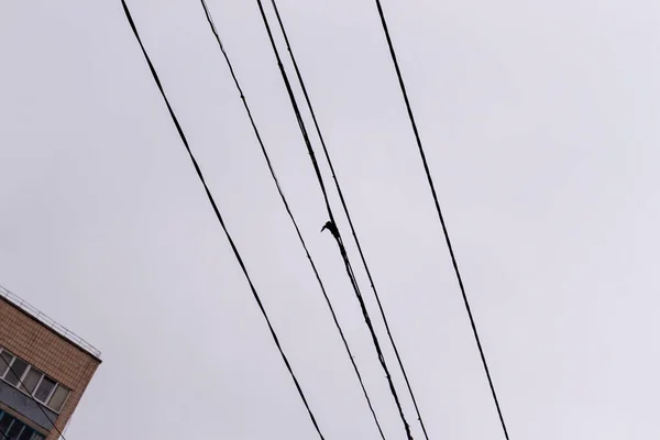 Líneas Alimentación Poste Sobre Fondo Del Cielo — Foto de Stock