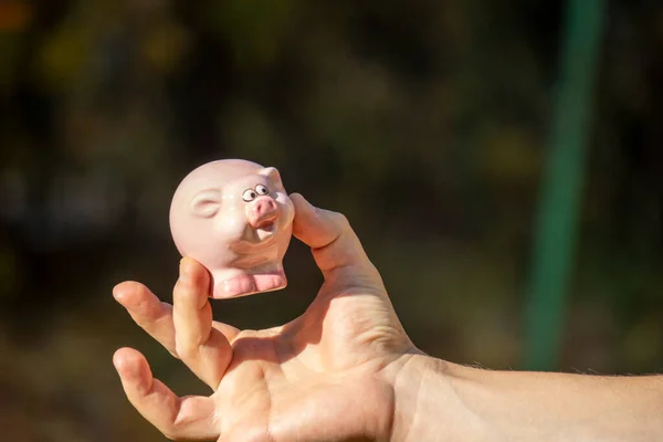 Мужчина Держит Руке Маленькую Розовую Игрушечную Свинью Свинья Символ Бизнеса — стоковое фото