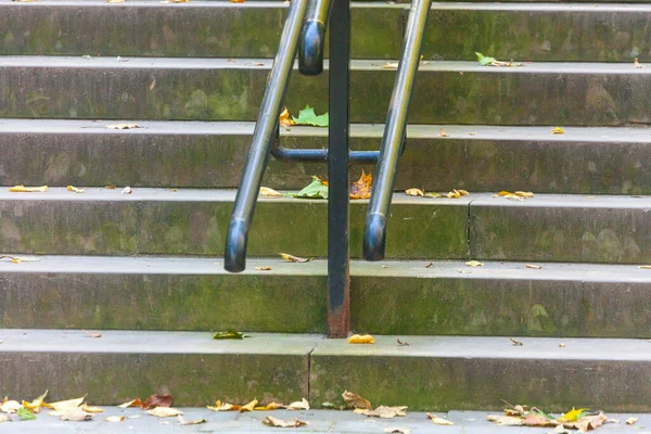 Escaliers Pierre Sur Rampe Dans Parc Automne — Photo