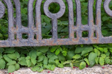 Evin yakınındaki eski siyah metal çit.