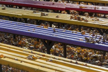 Yaz sinemasının yanındaki parkta renkli ahşap banklar.