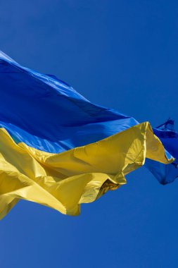 Ukrayna 'nın mavi ve sarı bayrağı gökyüzünde bayrak direğinde parktaydı.