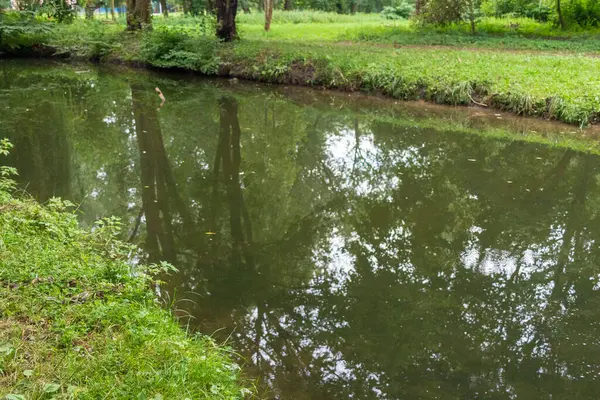 Ekim ayında sonbahar parkındaki gölde su.