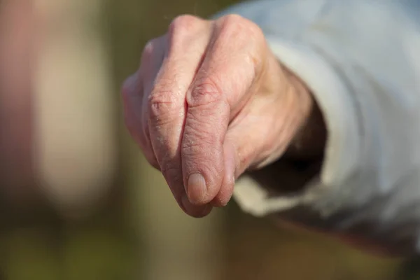秋に公園で老人の手 — ストック写真
