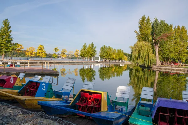 Eau Dans Rivière Dans Parc Automne — Photo