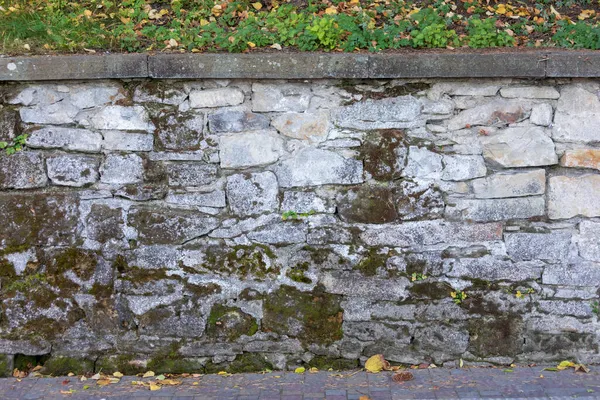 Textuur Van Een Oude Stenen Muur Het Park — Stockfoto