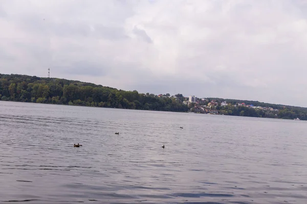 Eau Dans Lac Dans Parc Automne Octobre — Photo