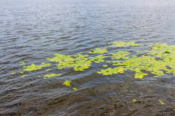 Air Danau Taman Musim Gugur Pada Bulan Oktober — Stok Foto