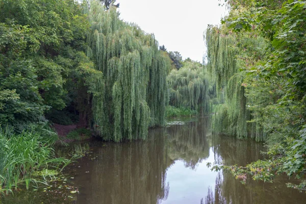 Wasser See Herbstpark Oktober — Stockfoto