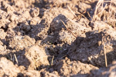 Toprağın dokusu yeni sürülmüş bir tarlada