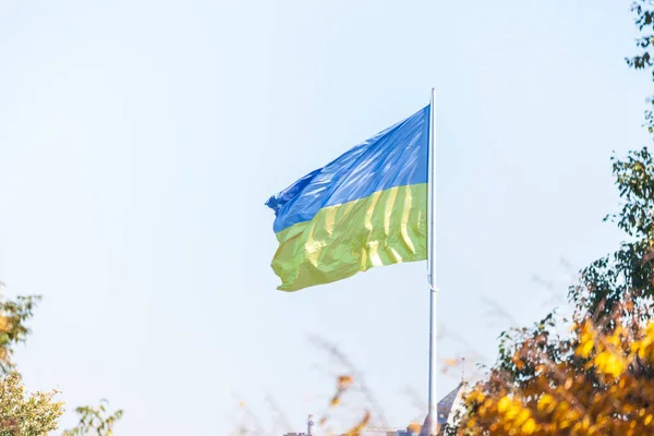 Żółto Niebieska Flaga Nad Jesiennym Parkiem Tle Nieba — Zdjęcie stockowe