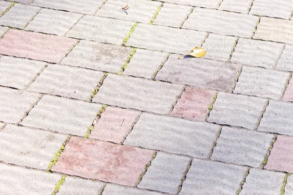 長方形の灰色のコンクリート製の石畳 — ストック写真
