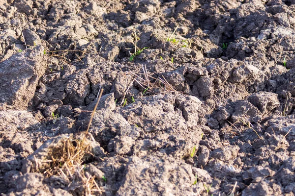 Texture Earth Field Has Just Been Plowed — Stock Photo, Image