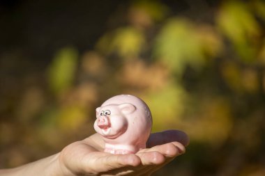 Bir adam elinde oyuncak bir domuz tutuyor.