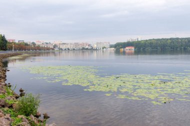Ekim ayında sonbahar parkındaki gölde su.
