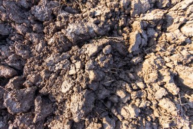 Toprağın dokusu yeni sürülmüş bir tarlada