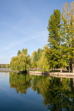 Eylül ayında göletin yanındaki parkta sonbahar manzarası