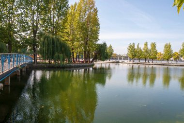 Eylül ayında göletin yanındaki parkta sonbahar manzarası