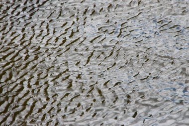 Arka plan için göldeki dalgaların üzerindeki su dokusu.