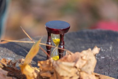 Kum saati ve sonbahar yaprakları parkta. Zaman geçirmenin sembolü. Kısa yaşamın sembolü