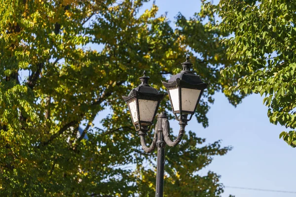蓝天背景下的公园里的灯笼 — 图库照片