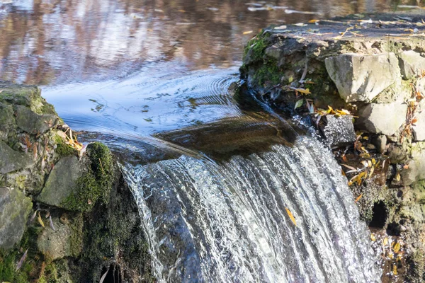 Штормовой Поток Пот Воды Реке Осеннем Парке — стоковое фото