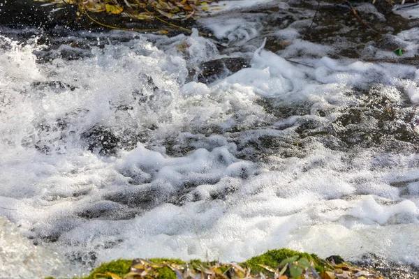 Flusso Tempestoso Sudore Acqua Nel Fiume Nel Parco Autunnale — Foto Stock