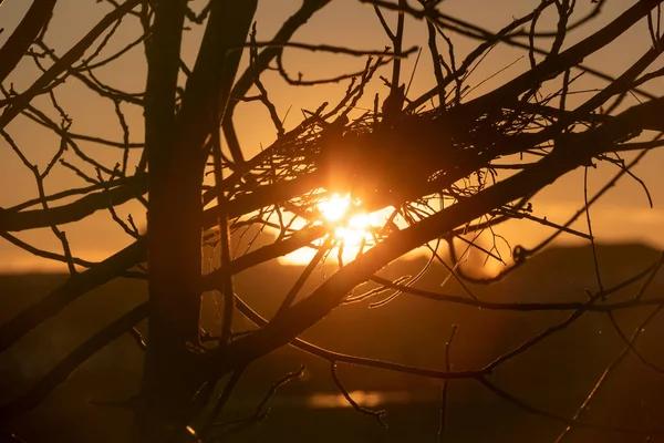 Žlutý Západ Slunce Nad Domy Večerních Hodinách — Stock fotografie