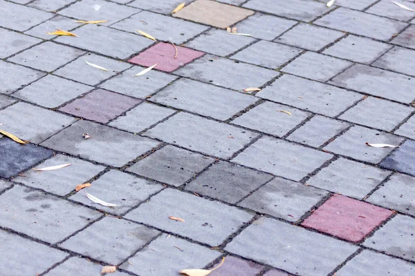 Texture Colored Cobblestones Backgrounds Prompts — Stock Photo, Image