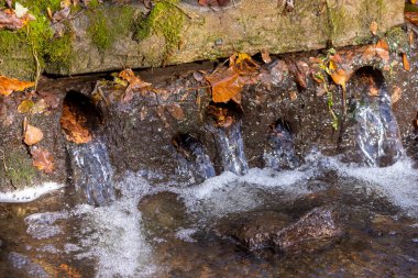 Sonbahar parkında su akar. Su borularından fışkırıyor.