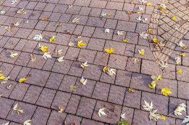 Parktaki kırmızı dikdörtgen kaldırım taşlarının dokusu