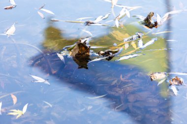 Gökyüzünün arka planında Ukrayna 'nın sarı ve mavi bayrağı