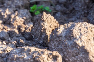 Toprağın dokusu yeni sürülmüş bir tarlada