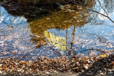 Gökyüzünün arka planında Ukrayna 'nın sarı ve mavi bayrağı