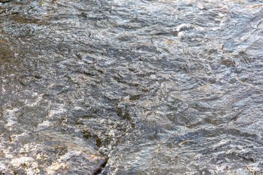 Sonbahar parkındaki nehirde fırtınalı bir akıntı ve ter.