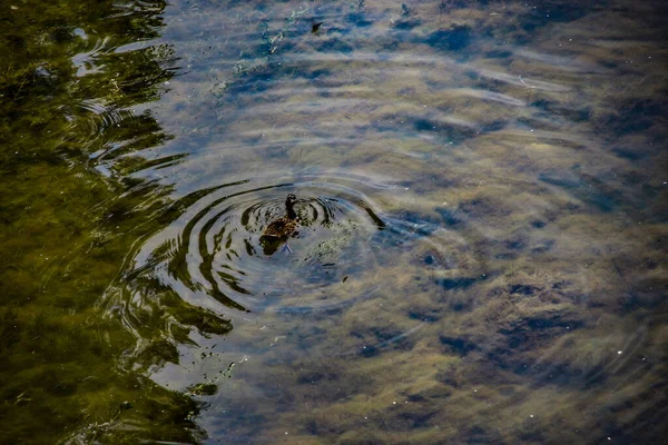 Водна Текстура Хвилях Озері Фону — стокове фото