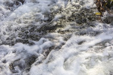 Sonbahar parkındaki nehirde fırtınalı bir akıntı ve ter.