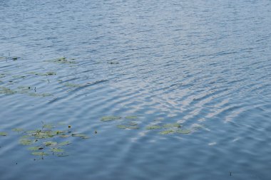Arka plan için göldeki dalgaların üzerindeki su dokusu.