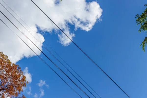 Blue Sky White Clouds Background Power Lines Trees — Stock Photo, Image