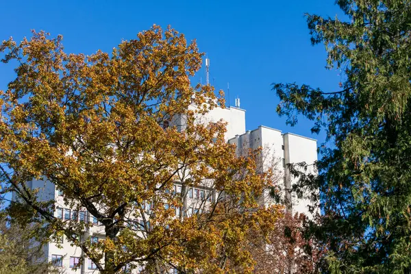 Fachada Una Casa Centro Ciudad Agosto Edificio Residencial Bienes Raíces — Foto de Stock