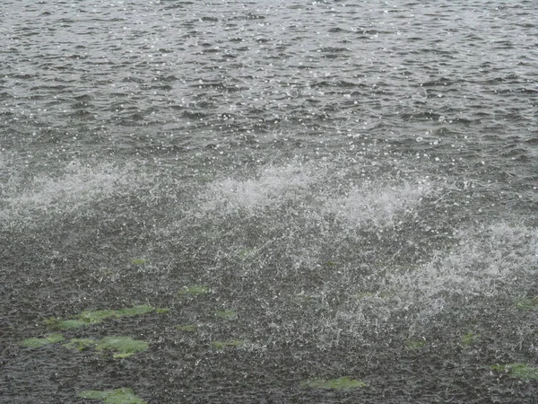 Jets Fontaine Dans Parc Sur Étang Riverain — Photo