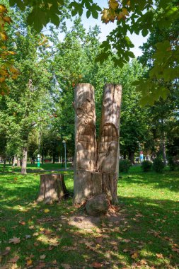 Yazın parktaki bitkiler ve doğa. Yapraklar, çimenler, ağaçlar, doğa