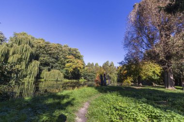 Yazın parktaki bitkiler ve doğa. Yapraklar, çimenler, ağaçlar, doğa
